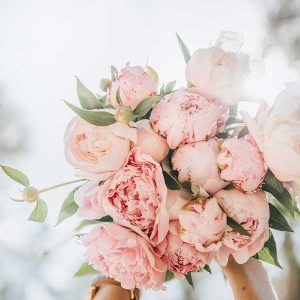 Bouquet of pink peonies