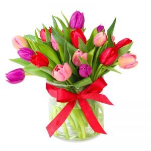 Spring kisses tulip mix