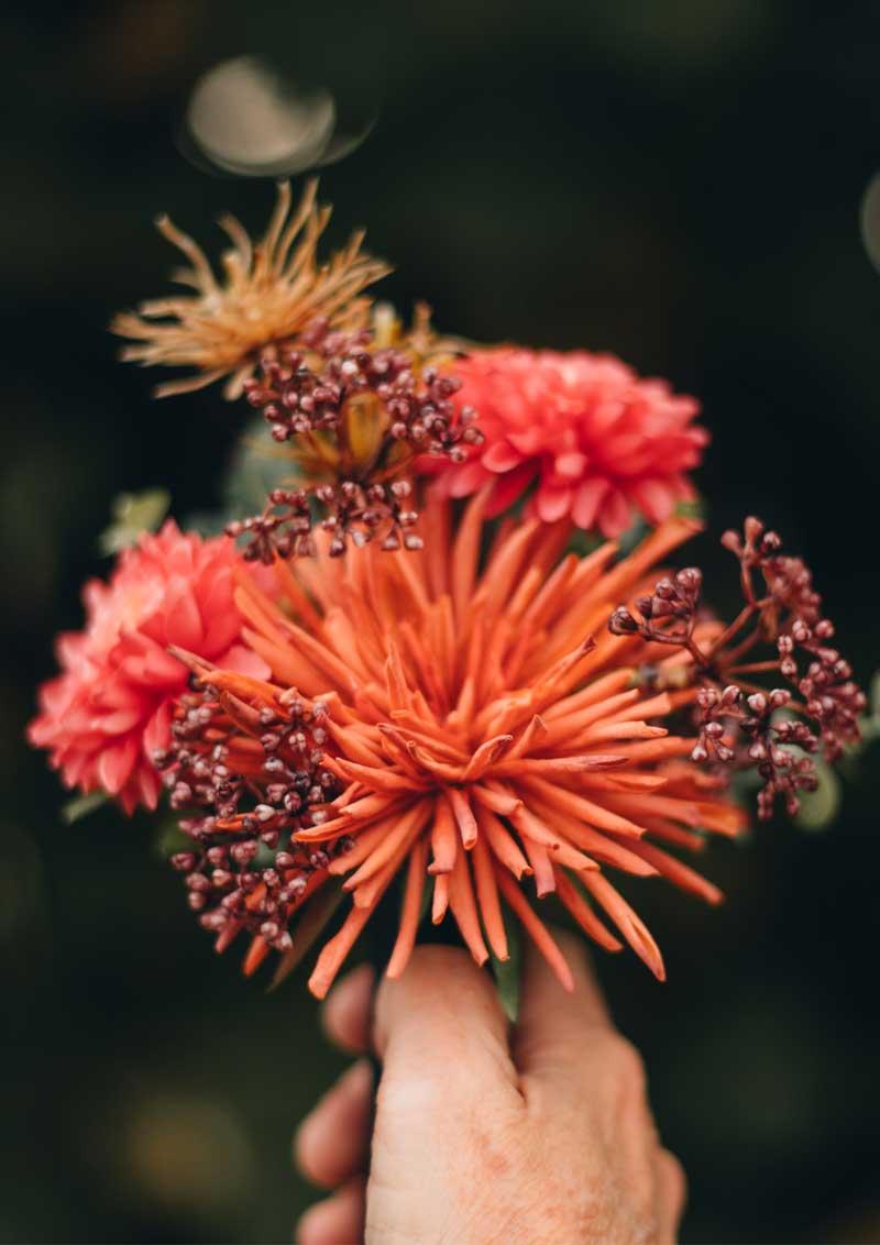 sesonal flowers